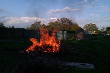 day 4 bonfire